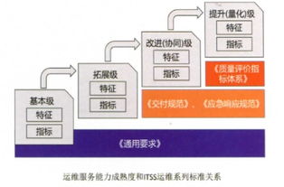 ITSS符合性評(píng)估與網(wǎng)絡(luò)技術(shù)服務(wù) 推動(dòng)信息服務(wù)的標(biāo)準(zhǔn)化與高質(zhì)量發(fā)展