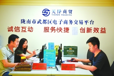 甘肅隴南農產品銷售率先跨入電商時代 網店營銷服務的創新與實踐
